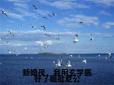 新婚夜,我用玄学医好了疯批老公(顾酒酒北冥仇)全网首发最新小说-主角顾酒酒北冥仇全文在线免费阅读