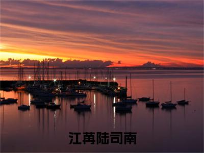 江苒陆司南（陆司南江苒)全文免费阅读无弹窗大结局_江苒陆司南全文完整无删减版免费阅读（陆司南江苒）