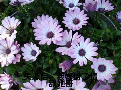 失恋后,我嫁给了情敌她哥(池清予万俟千翊)全文免费阅读无弹窗大结局_失恋后,我嫁给了情敌她哥最新章节列表_笔趣阁(池清予万俟千翊)
