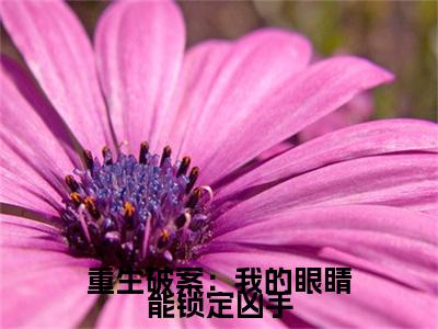 叶默（重生破案：我的眼睛能锁定凶手）全文免费阅读_（叶默）重生破案：我的眼睛能锁定凶手最新章节小说免费阅读_笔趣阁（叶默）