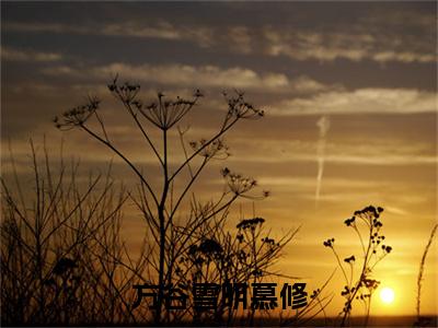 主角是明慕修方谷雪的小说叫什么名字 方谷雪明慕修小说免费阅读