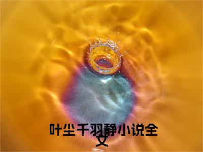 打不过，女帝老婆快救我！（ 叶尘千羽静全文在线阅读）-打不过，女帝老婆快救我！免费阅读