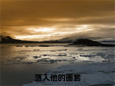 落入他的圈套（ 陈烈苏圆）小红书热荐小说-落入他的圈套女生爱看的小说全集资源