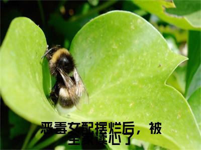 恶毒女配摆烂后，被全家读心了在线阅读（姜微）全文免费阅读无弹窗大结局_姜微最新章节列表笔趣阁（恶毒女配摆烂后，被全家读心了）