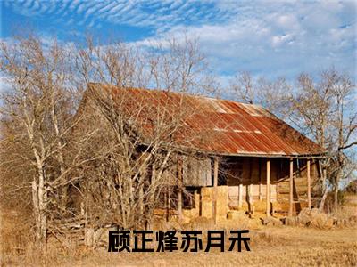 顾正烽苏月禾(苏月禾顾正烽)小说全文大结局-(苏月禾顾正烽)全章节完整版在线阅读