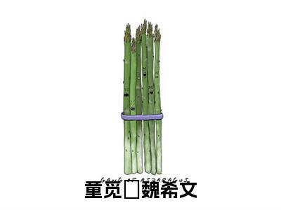 魏希文童觅玥(童觅玥魏希文小说)全文免费阅读无弹窗大结局_童觅玥魏希文全文免费阅读(魏希文童觅玥小说)最新章节列表_笔趣阁(童觅玥魏希文)