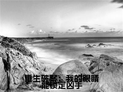 叶默为重生破案：我的眼睛能锁定凶手的小说叫什么-最新小说重生破案：我的眼睛能锁定凶手全文阅读