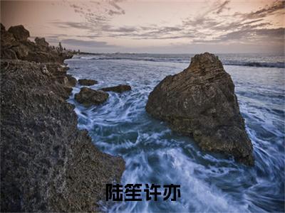 许亦陆笙（陆笙许亦）全文在线免费阅读无弹窗_许亦陆笙最新章节列表_笔趣阁