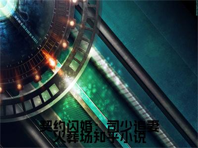 契约闪婚：司少追妻火葬场（ 凉念禾司墨离）全文免费在线阅读_契约闪婚：司少追妻火葬场全文阅读_笔趣阁（ 凉念禾司墨离）