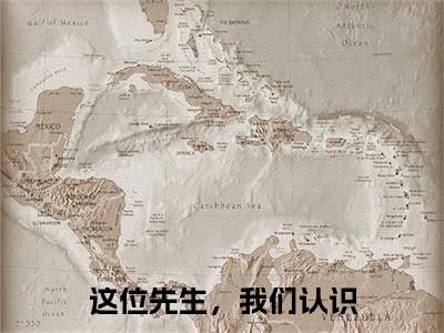 这位先生，我们认识小说（许星辰卫景曜全文完整版免费阅读）_这位先生，我们认识小说免费最新章节列表_笔趣阁