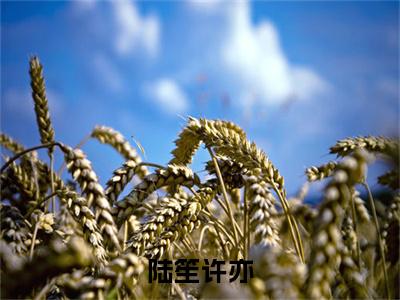 许亦陆笙（陆笙许亦）全文免费阅读无弹窗大结局_许亦陆笙陆笙许亦_笔趣阁