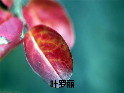 叶罗丽，罗丽重生小说（ 罗丽颜爵）全文免费阅读无弹窗大结局_（叶罗丽，罗丽重生） 罗丽颜爵小说免费阅读无弹窗最新章节列表_笔趣阁