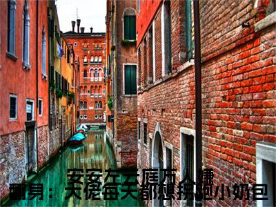 万人嫌翻身：大佬每天都想拐跑小奶包（ 安安左云庭）全文免费阅读无弹窗大结局_（万人嫌翻身：大佬每天都想拐跑小奶包） 安安左云庭最新章节列表_笔趣阁
