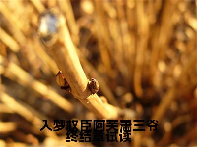 入梦权臣阿芙萧三爷终结章试读( 姜芙萧荆)小说精彩免费内容_入梦权臣阿芙萧三爷终结章试读最新章节全文阅读（ 姜芙萧荆）