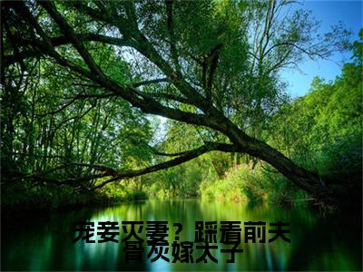 宠妾灭妻?踩着前夫骨灰嫁太子精选小说大结局阅读_(盛清欢楚誉风)宠妾灭妻?踩着前夫骨灰嫁太子免费阅读最新章节列表