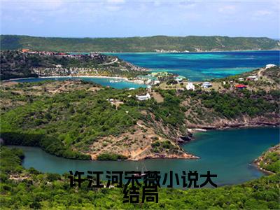 重返十九岁，女神你怎么不骄傲了全文（ 许江河宋薇）全文免费阅读无弹窗大结局_ 许江河宋薇免费最新章节列表_笔趣阁（重返十九岁，女神你怎么不骄傲了）