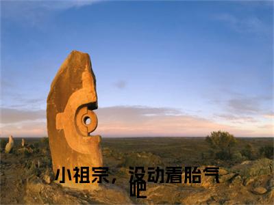 小祖宗,没动着胎气吧(慕京州沈南星全章节完整版)免费阅读_(慕京州沈南星)小祖宗,没动着胎气吧全文无删减免费阅读