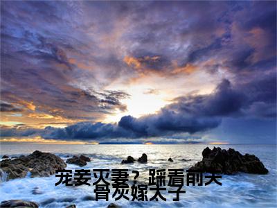 宠妾灭妻？踩着前夫骨灰嫁太子正版小说全文阅读 盛清欢楚誉风无删减版