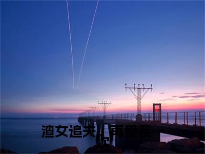 渣女追夫，再爱我一次全文(宫星辰沈景言)全文免费阅读无弹窗大结局_(渣女追夫，再爱我一次全文免费阅读全文大结局)渣女追夫，再爱我一次最新章节列表_笔趣阁（宫星辰沈景言全文）