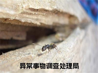 异常事物调查处理局（时律唐容）全文免费阅读无弹窗大结局_(异常事物调查处理局)时律唐容免费阅读无弹窗最新章节列表_笔趣阁（时律唐容）