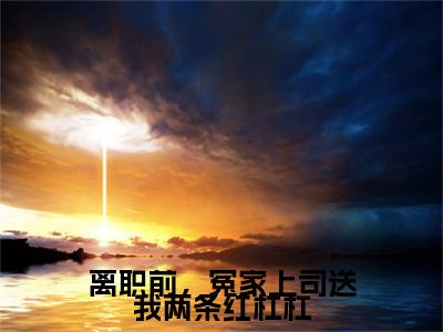 离职前，冤家上司送我两条红杠杠小说免费阅读谈信赫翁惜雾小说全文免费阅读_（离职前，冤家上司送我两条红杠杠）谈信赫翁惜雾最新章节列表笔趣阁