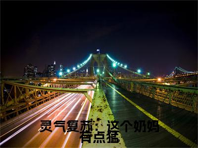 灵气复苏：这个奶妈有点猛小说最新试读_陆宇小说名是（灵气复苏：这个奶妈有点猛）_笔趣阁