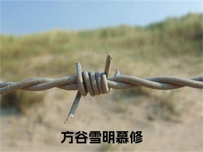 明慕修方谷雪小说方谷雪明慕修在哪里可以看-主角是明慕修方谷雪的小说方谷雪明慕修