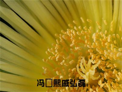 戚弘磊冯婼熙(冯婼熙戚弘磊)全文阅读-2023最火热点小说戚弘磊冯婼熙最新更新