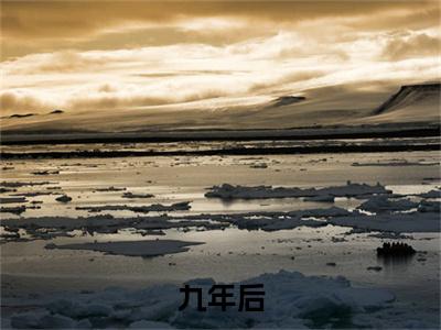  傅凌轩顾冉（九年后，疯批大佬跪着追妻）在线阅读的小说完整版-九年后，疯批大佬跪着追妻（ 傅凌轩顾冉）小说免费阅读