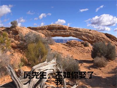 厉先生，不如你娶了我（宋星月厉云深）全文免费阅读无弹窗大结局_厉先生，不如你娶了我最新章节列表_笔趣阁（宋星月厉云深）