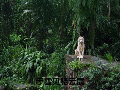 宁雪见骆云宸全文免费阅读_宁雪见骆云宸（骆云宸宁雪见免费阅读无弹窗）骆云宸宁雪见最新章节列表笔趣阁