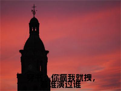 赫念念(穿书:你疯我就拽,看谁演过谁)完整版小说阅读_穿书:你疯我就拽,看谁演过谁全文免费阅读笔趣阁(赫念念)