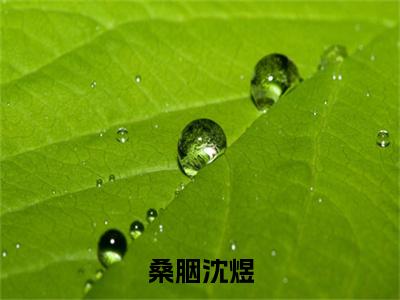 沈煜桑胭（桑胭沈煜）小说免费在线阅读_沈煜桑胭全本免费小说阅读大结局（桑胭沈煜）