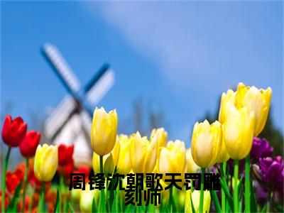  周锋沈朝歌（天罚雕刻师）全文免费阅读无弹窗大结局_ 周锋沈朝歌免费最新章节列表_笔趣阁（天罚雕刻师）