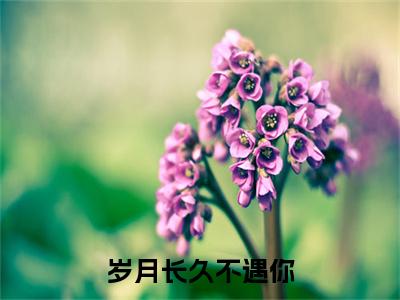 岁月长久不遇你全文免费阅读无弹窗大结局_(沈妤江琛栩)沈妤江琛栩最新章节列表_笔趣阁