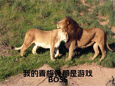  夜歌高深雪（ 夜歌高深雪）全文免费阅读无弹窗大结局_我的青梅竟都是游戏BOSS最新章节列表_笔趣阁