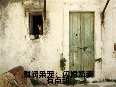财阀枭宠：闪婚娇妻有点甜(简漾陆易琛)全文免费阅读大结局_财阀枭宠：闪婚娇妻有点甜全文在线完本阅读