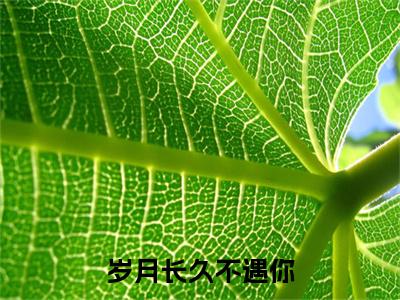 沈妤江琛栩小说在线阅读岁月长久不遇你无广告小说免费在线阅读