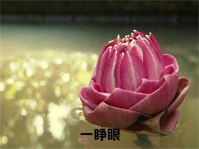 一睁眼，我在未来捡菜叶全文免费阅读无弹窗大结局_( 陈珂童望君)免费阅读全文无弹窗_