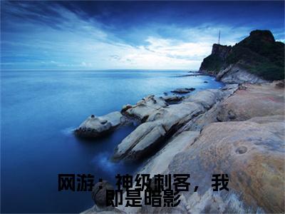 网游：神级刺客，我即是暗影（秦风秦小悠）小说最新章节阅读-全网最新首发小说网游：神级刺客，我即是暗影（秦风秦小悠）免费阅读全章节