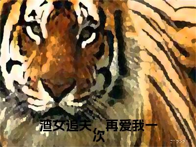抖音高赞小说渣女追夫,再爱我一次在线阅读 宫星辰沈景言2023新上现代言情小说推荐