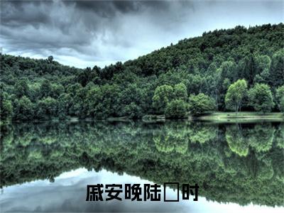 小说戚安晚陆璟时(陆璟时戚安晚)免费阅读-小说戚安晚陆璟时全文在线赏析