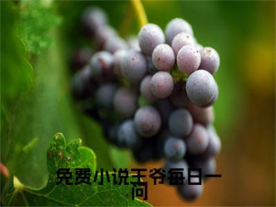 王爷每日一问,小妾今天宅斗了吗全文免费阅读（ 睿王江锦心小说）全文免费阅读无弹窗大结局_ 睿王江锦心小说免费阅读-笔趣阁