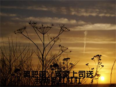 谈信赫翁惜雾小说(离职前,冤家上司送我两条红杠杠)全文免费阅读_离职前,冤家上司送我两条红杠杠最新章节列表笔趣阁(谈信赫翁惜雾)