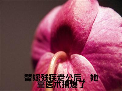 替嫁残疾老公后，她靠医术撩爆了(战浩辰夏佩佩）小说全文免费读无弹窗大结局_替嫁残疾老公后，她靠医术撩爆了小说全文免费阅读最新章节列表笔趣阁