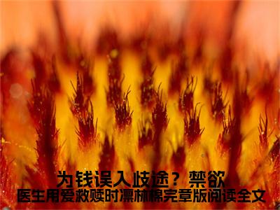  时凛林棉（为钱误入歧途？禁欲医生用爱救赎时凛林棉完章版阅读小说）全文免费阅读无弹窗大结局_（ 时凛林棉）为钱误入歧途？禁欲医生用爱救赎时凛林棉完章版阅读小说最新章节列表_笔趣阁（为钱误入歧途？禁欲医生用爱救赎时凛林棉完章版阅读小说）