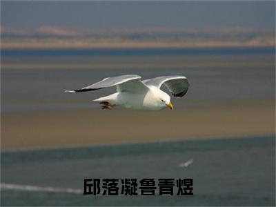 邱落凝鲁青煜(鲁青煜邱落凝)全文免费阅读无弹窗大结局_ (邱落凝鲁青煜)免费阅读无弹窗最新章节列表_笔趣阁