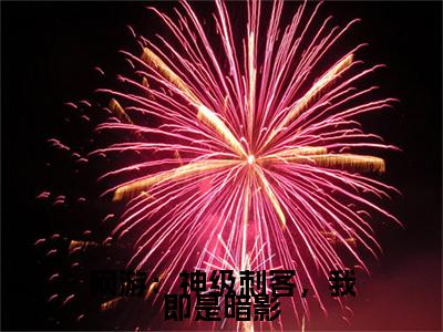 秦风秦小悠最新章节(网游:神级刺客,我即是暗影)全文免费阅读无弹窗大结局_网游:神级刺客,我即是暗影小说全文免费阅读正版无弹窗_笔趣阁