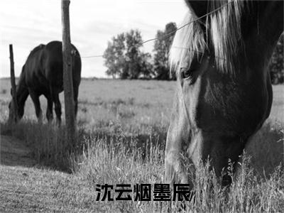 沈云烟墨辰(墨辰沈云烟小说)全文免费阅读无弹窗大结局_沈云烟墨辰完整版小说阅读(墨辰沈云烟小说)
