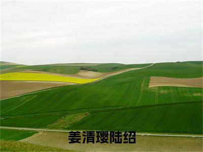 陆绍姜清璎最后结局如何,姜清璎陆绍强推全文阅读无弹窗